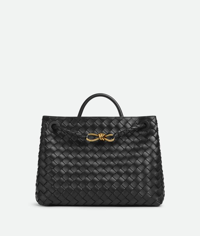 Bottega Veneta Medium Andiamo Bag